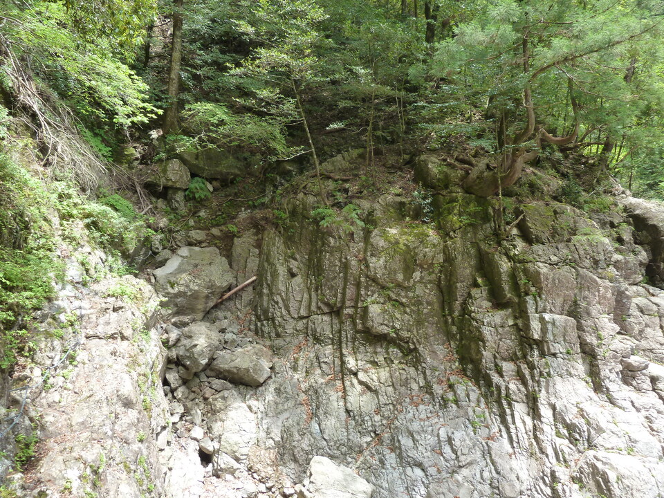 P1100395_mid.jpg