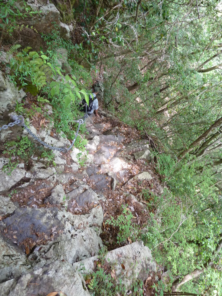 P1100398_mid.jpg