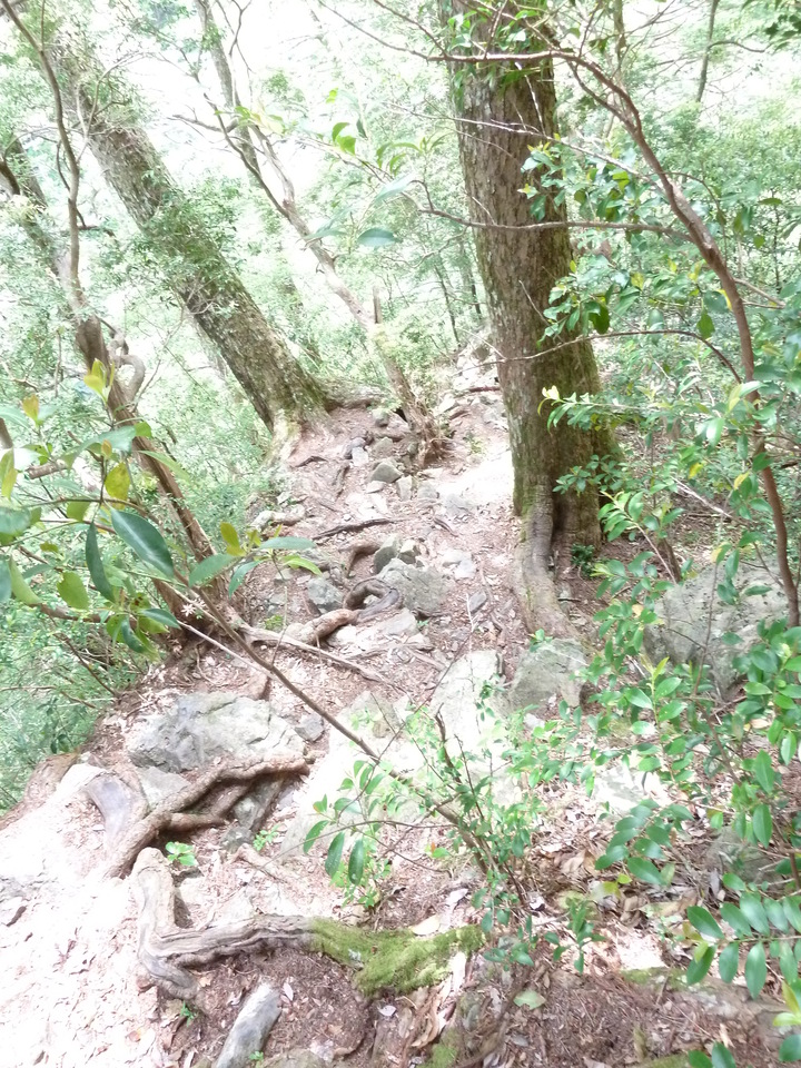 P1100400_mid.jpg