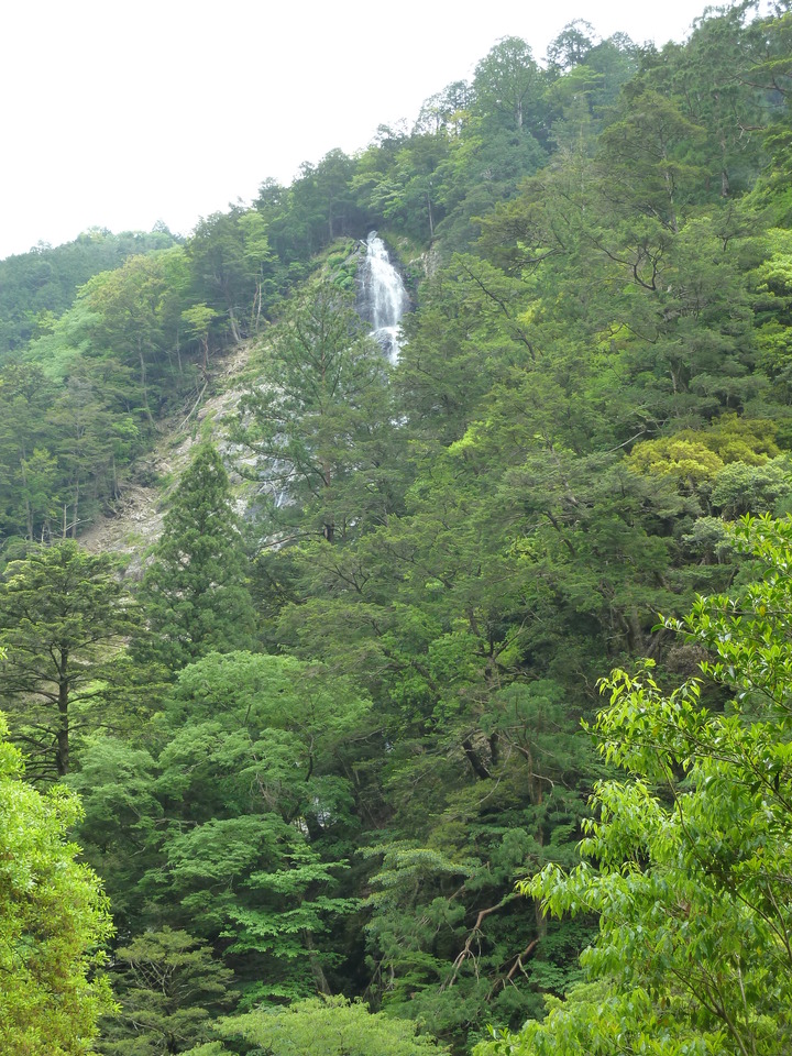 P1100403_mid.jpg