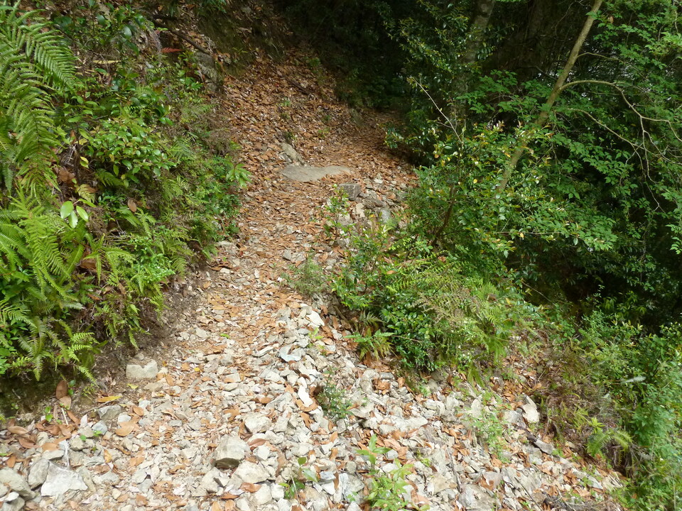 P1100404_mid.jpg