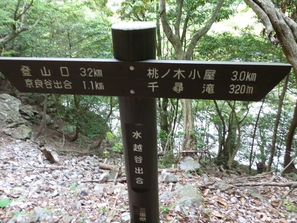 P1100407_mid.jpg