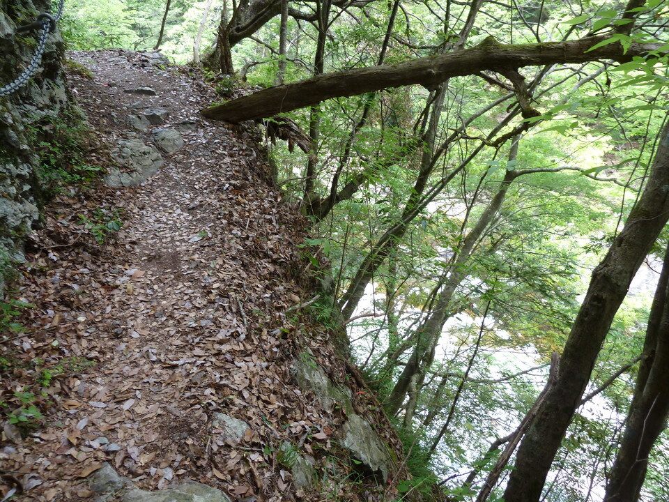 P1100411_mid.jpg