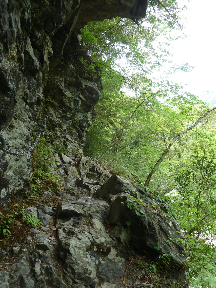 P1100412_mid.jpg