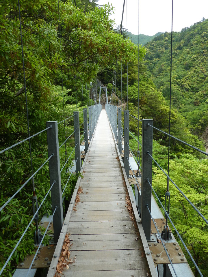 P1100416_mid.jpg