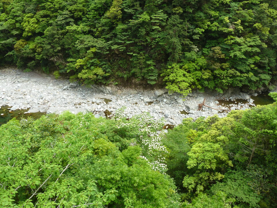 P1100418_mid.jpg