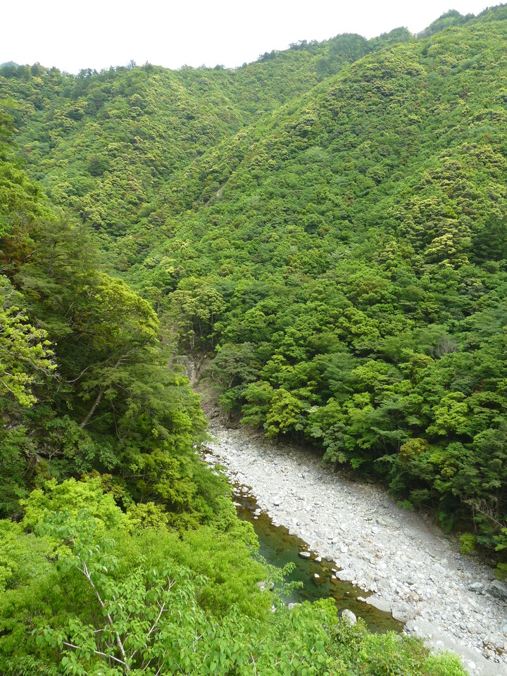 P1100419_mid.jpg