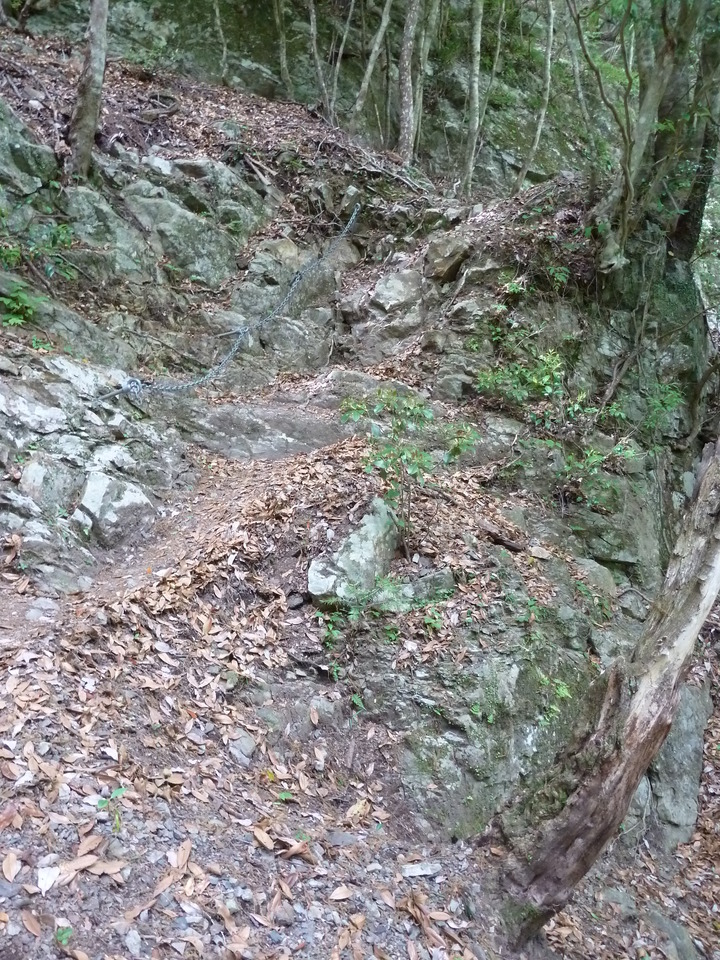 P1100423_mid.jpg