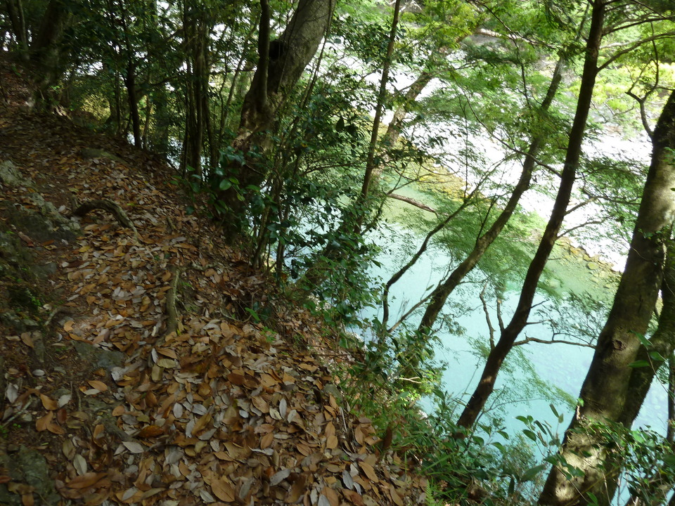 P1100425_mid.jpg
