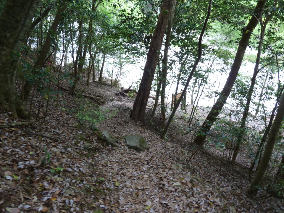 P1100426_mid.jpg