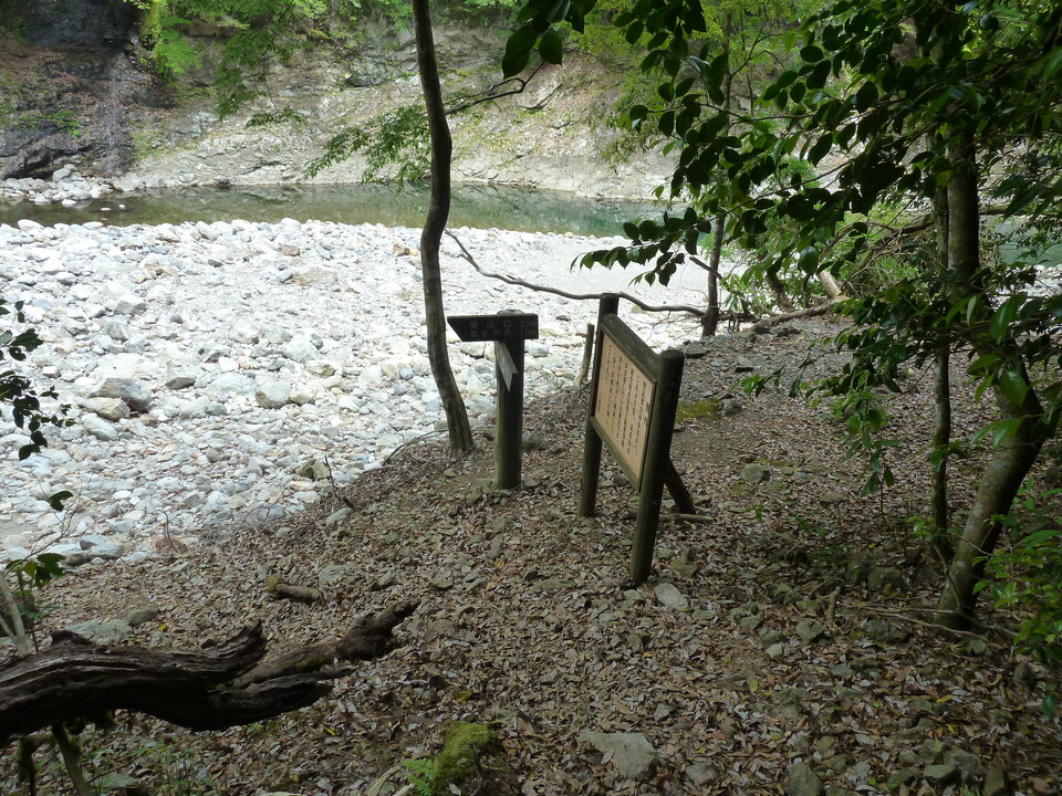 P1100427_mid.jpg