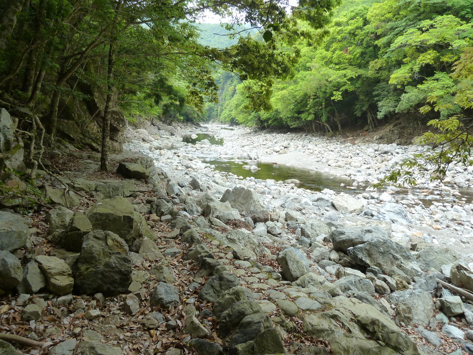 P1100430_mid.jpg