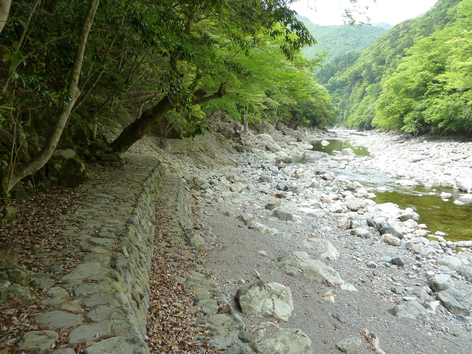 P1100431_mid.jpg