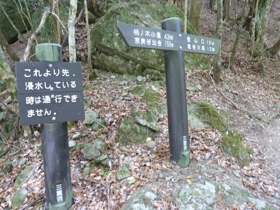 P1100432_mid.jpg