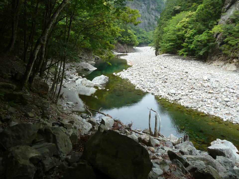 P1100439_mid.jpg