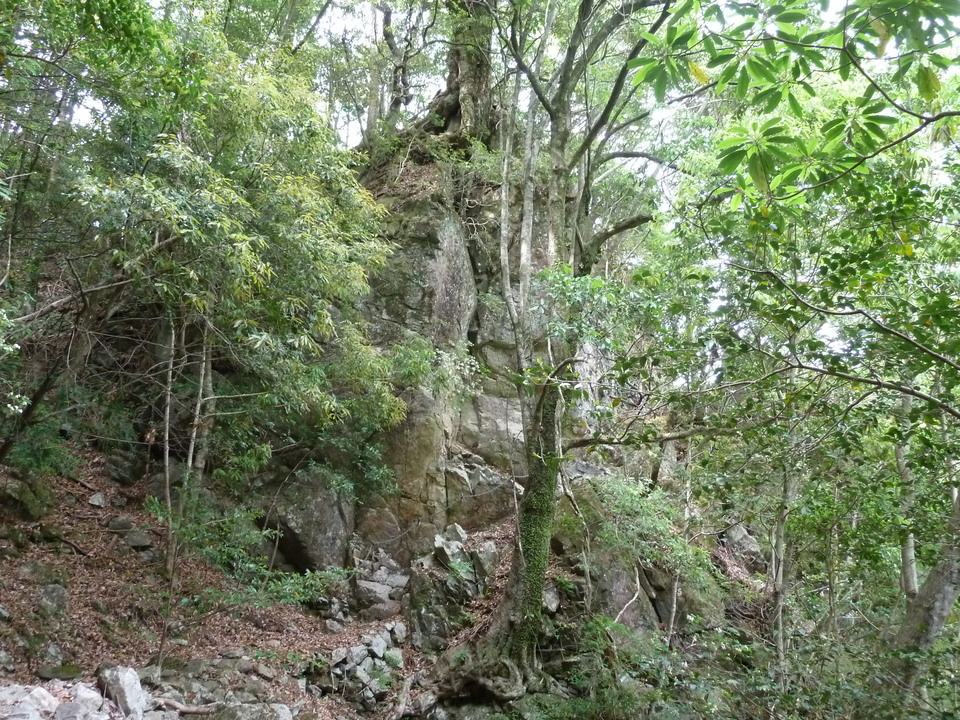 P1100440_mid.jpg