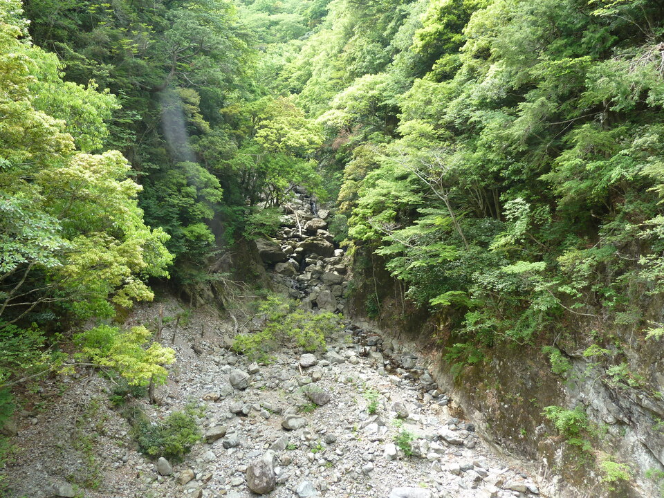 P1100443_mid.jpg