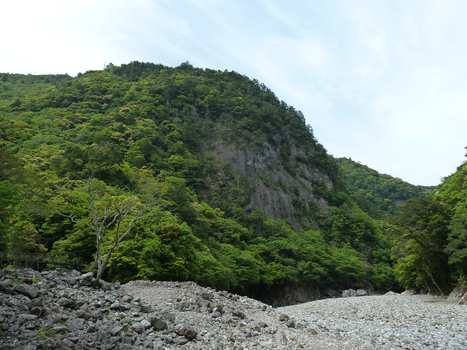 P1100445_mid.jpg