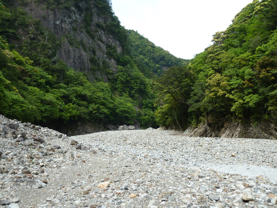 P1100447_mid.jpg