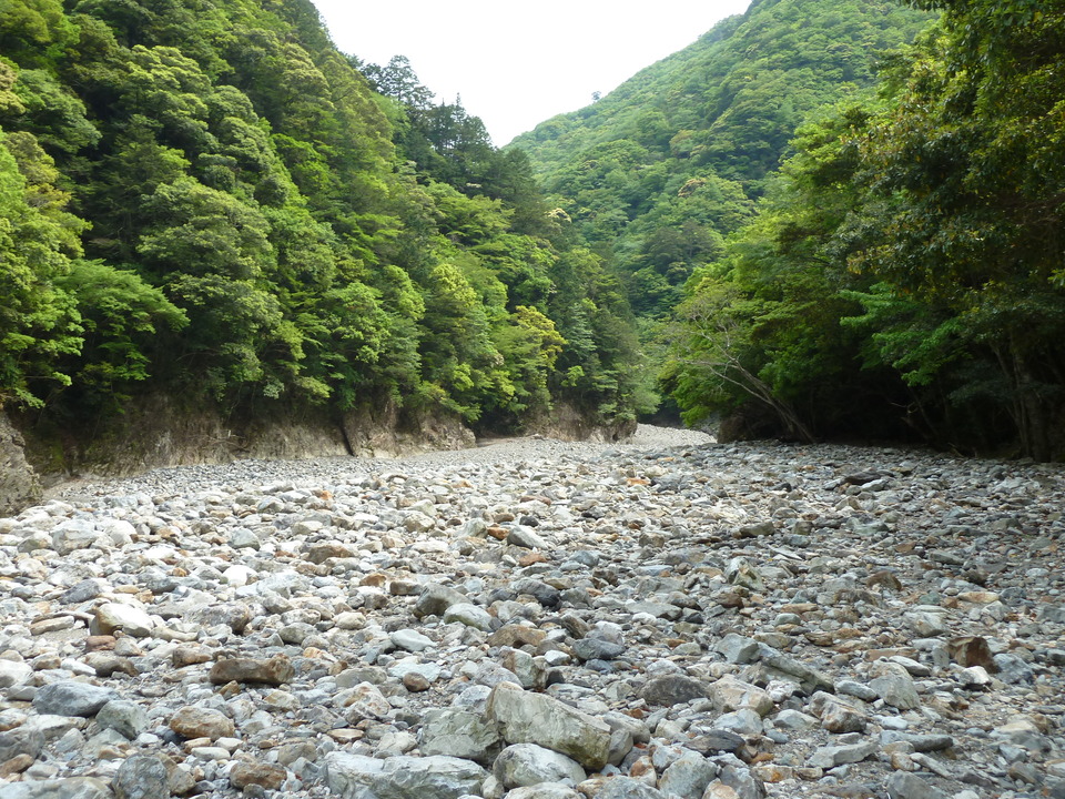 P1100448_mid.jpg