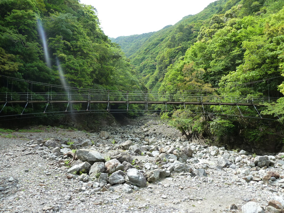P1100449_mid.jpg