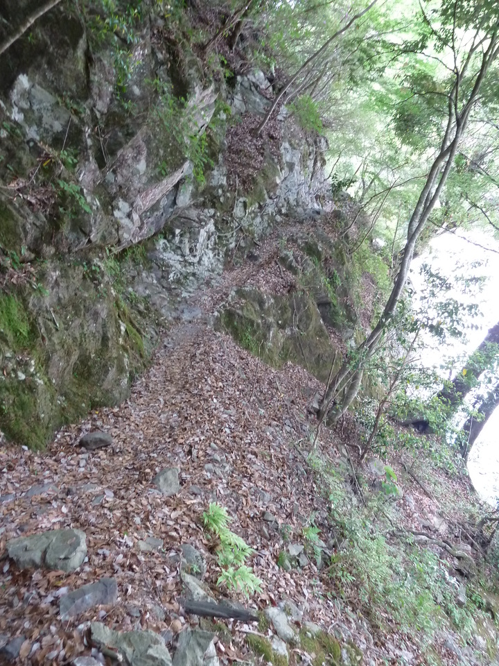 P1100450_mid.jpg