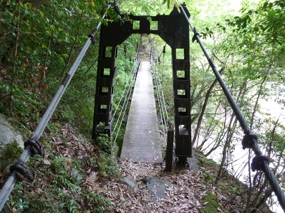 P1100452_mid.jpg