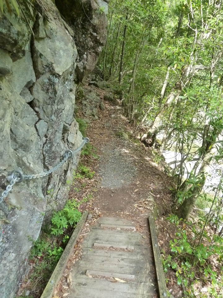 P1100454_mid.jpg