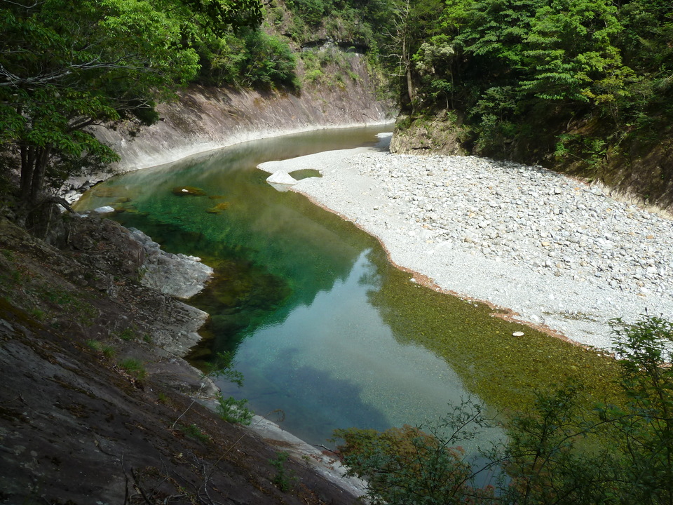 P1100456_mid.jpg