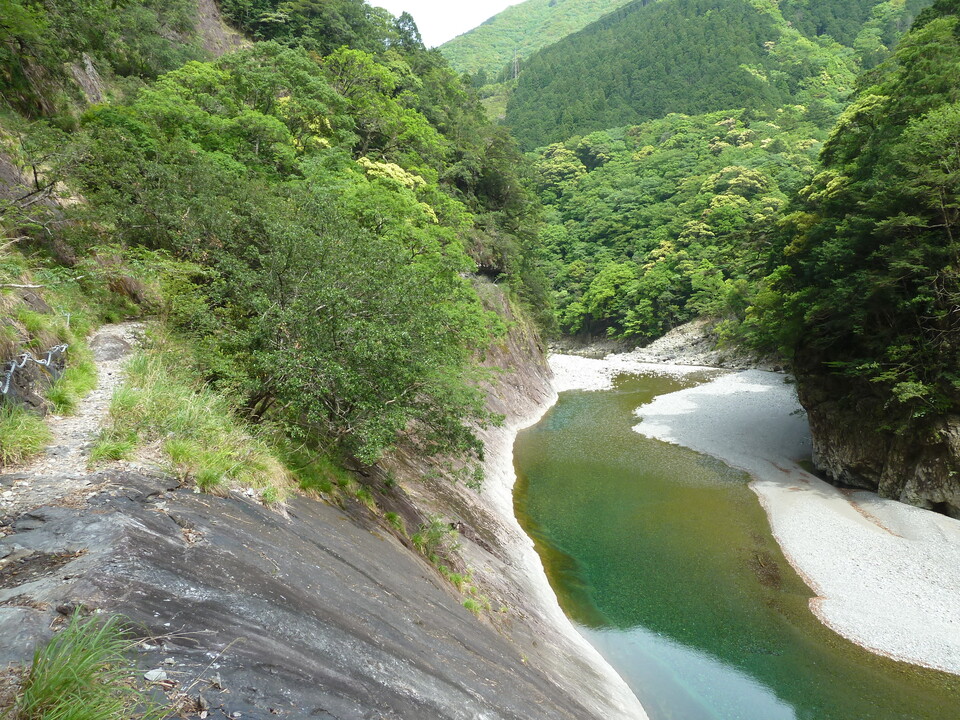 P1100458_mid.jpg