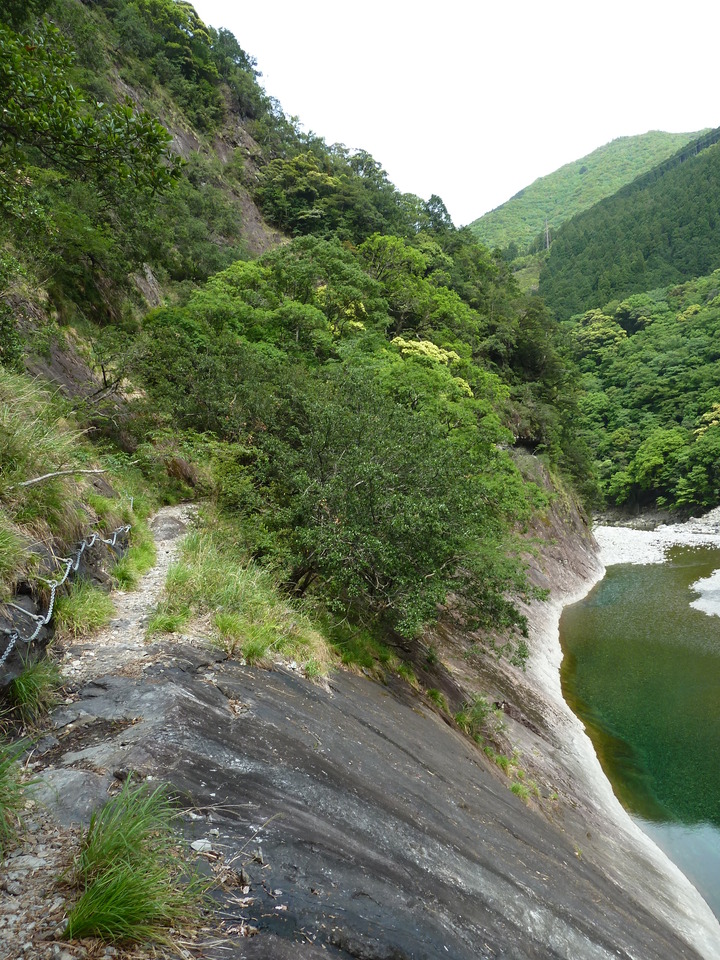 P1100459_mid.jpg