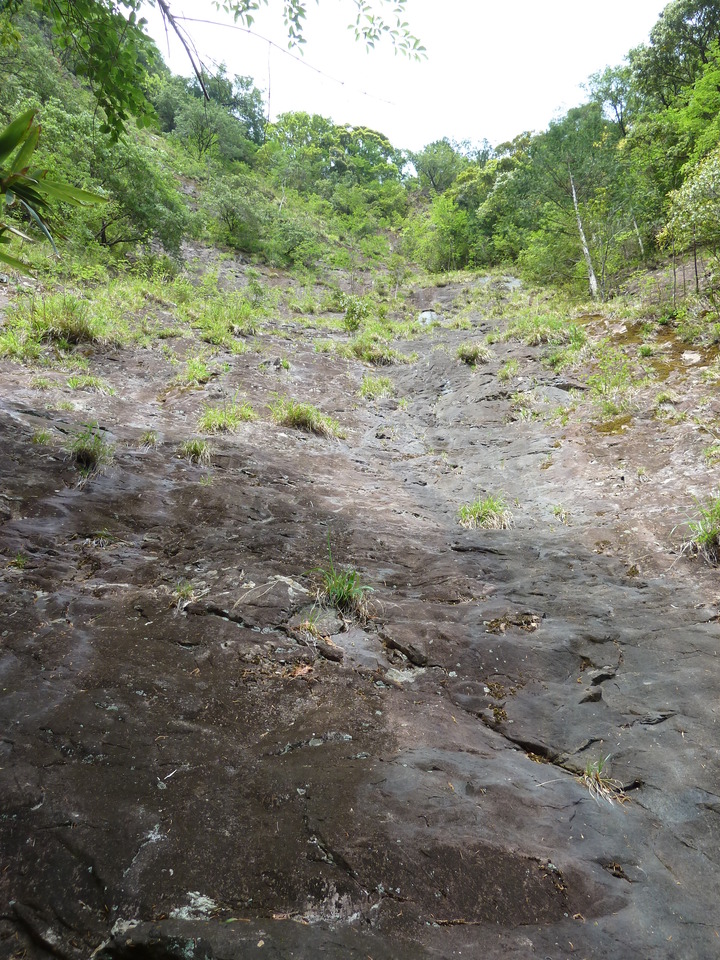 P1100462_mid.jpg