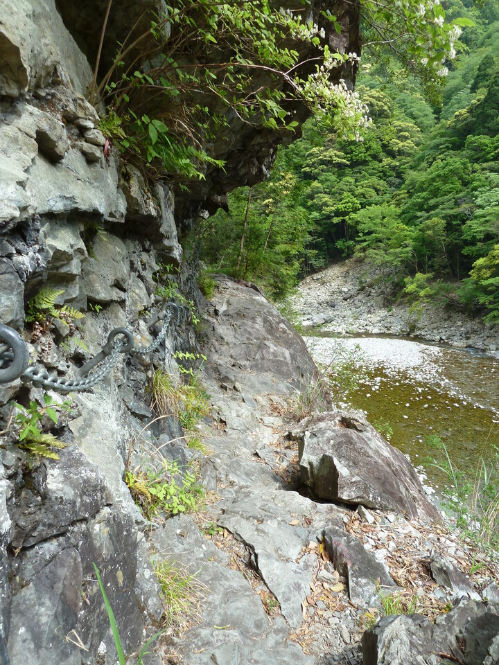 P1100463_mid.jpg