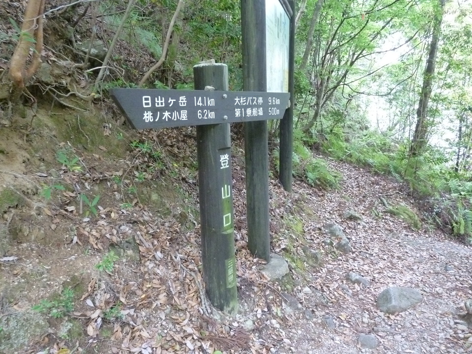 P1100466_mid.jpg