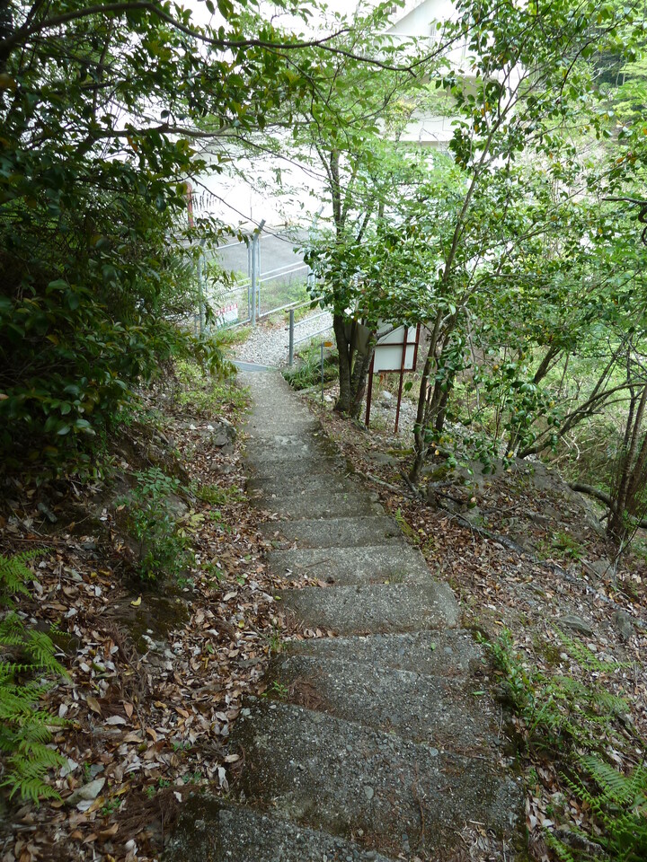P1100468_mid.jpg