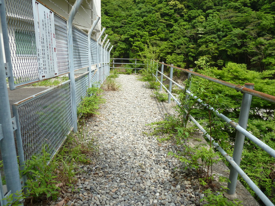 P1100469_mid.jpg