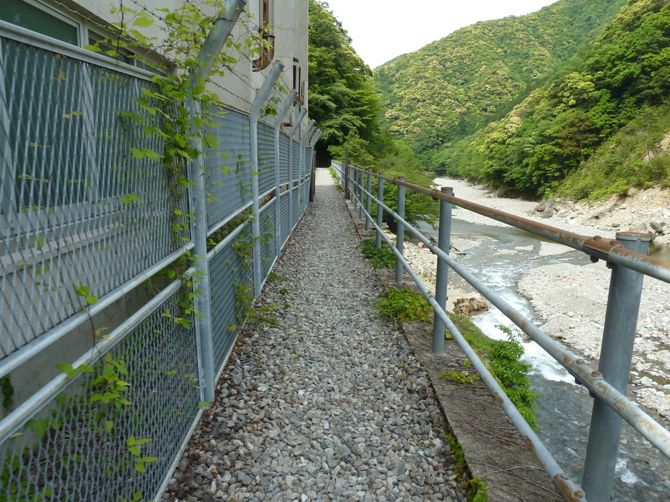 P1100470_mid.jpg
