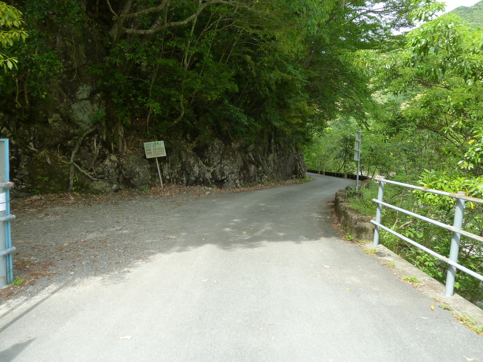 P1100472_mid.jpg