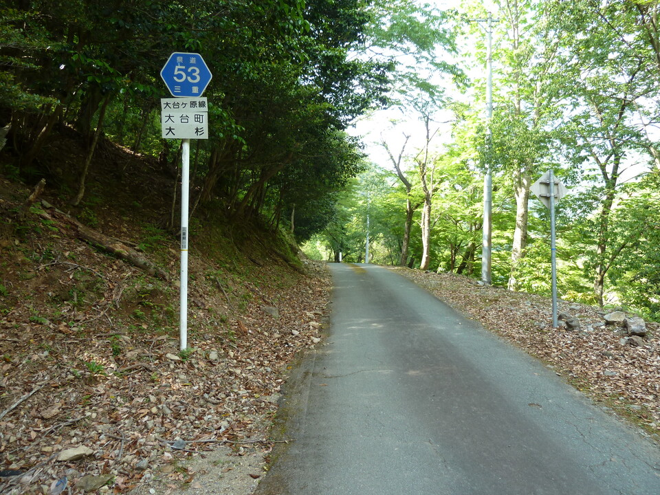 P1100475_mid.jpg