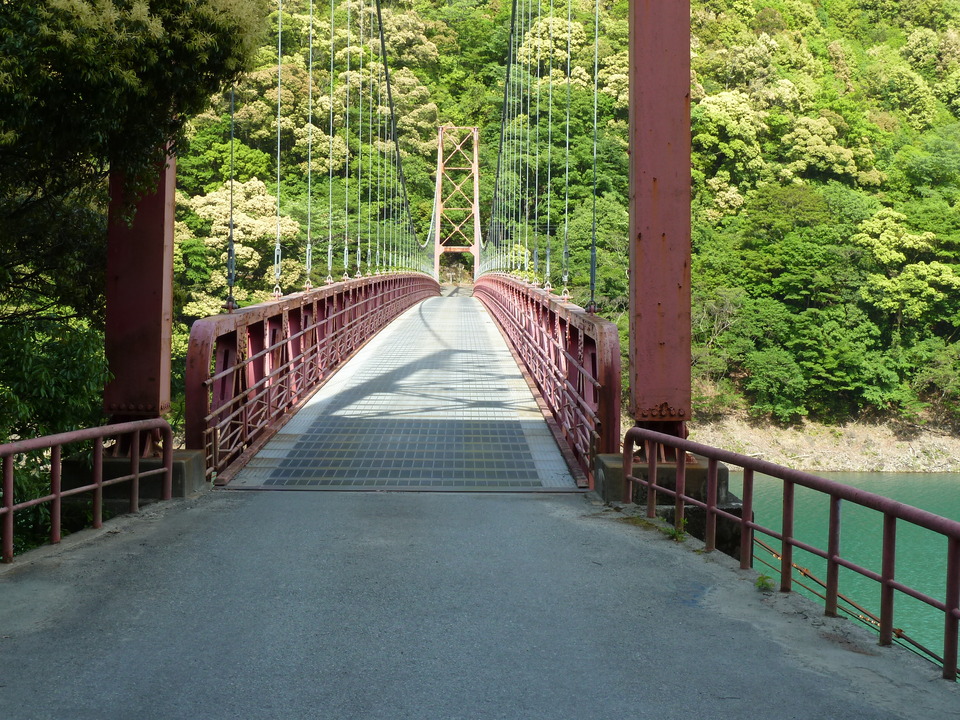P1100477_mid.jpg