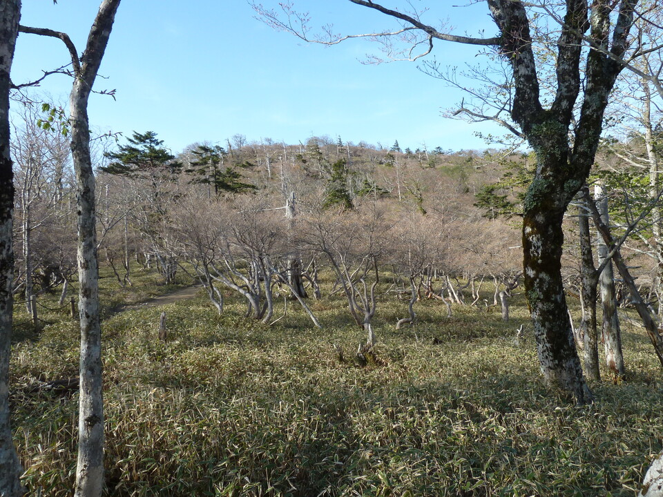 P1100501_mid.jpg