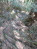 P1100675_thumb.png