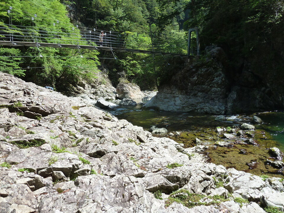 P1100710_mid.jpg