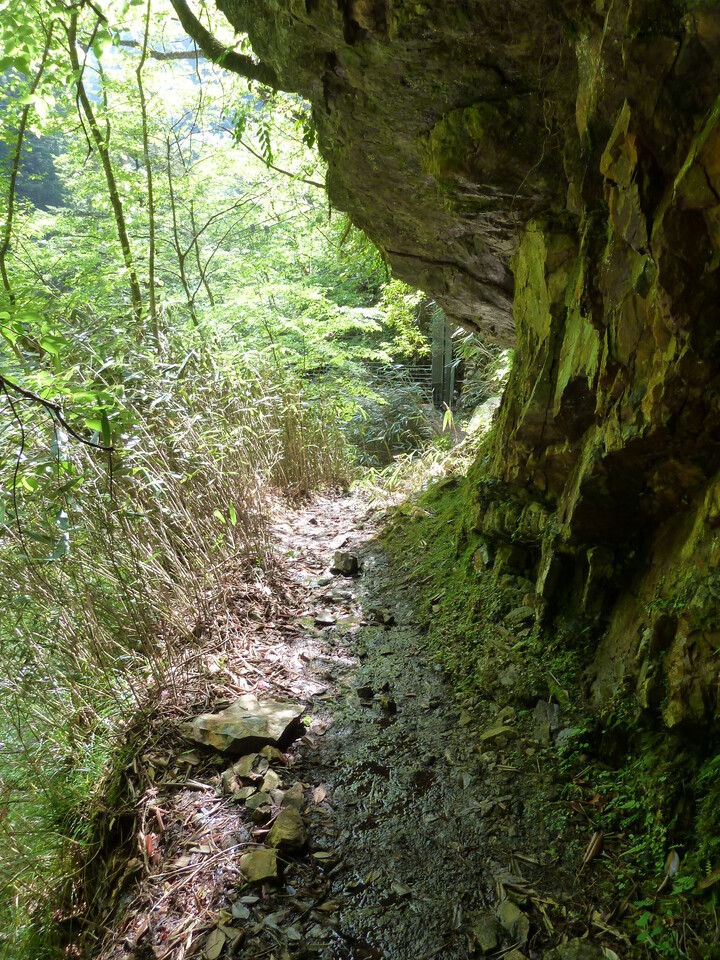 P1100733_mid.jpg