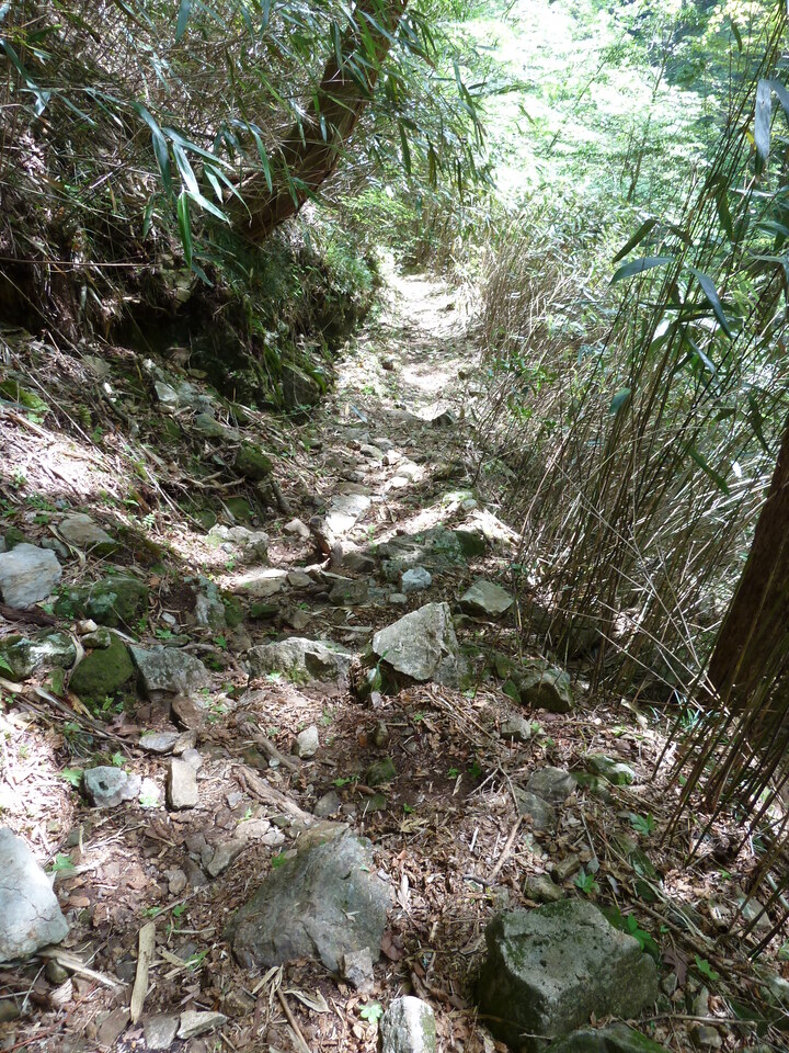 P1100775_mid.jpg