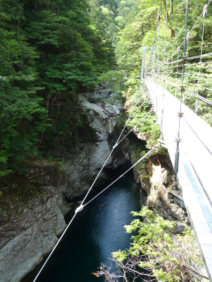 P1100782_mid.jpg