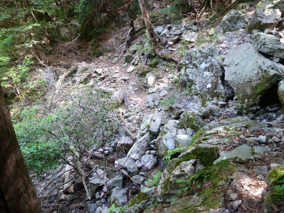 P1100796_mid.jpg