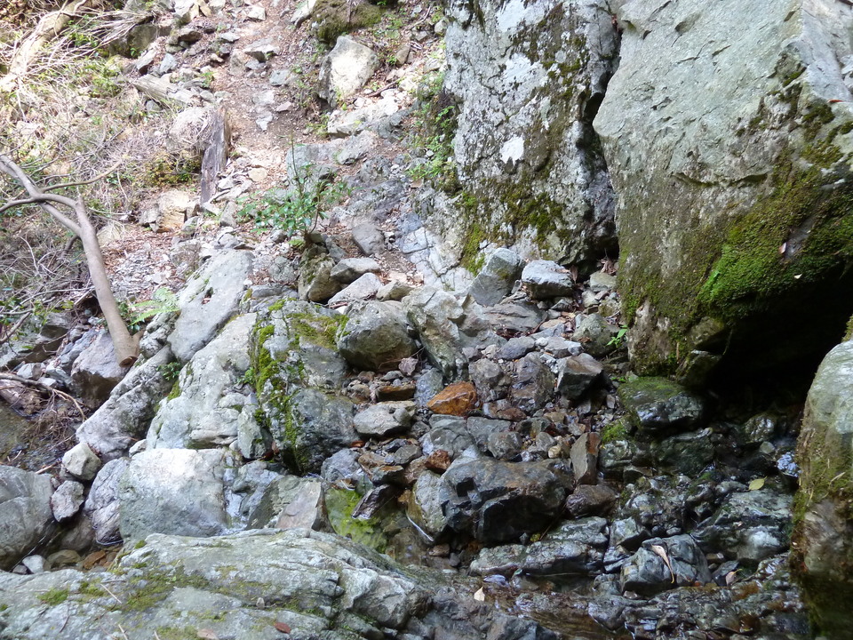 P1100797_mid.jpg