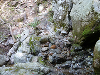 P1100797_thumb.png