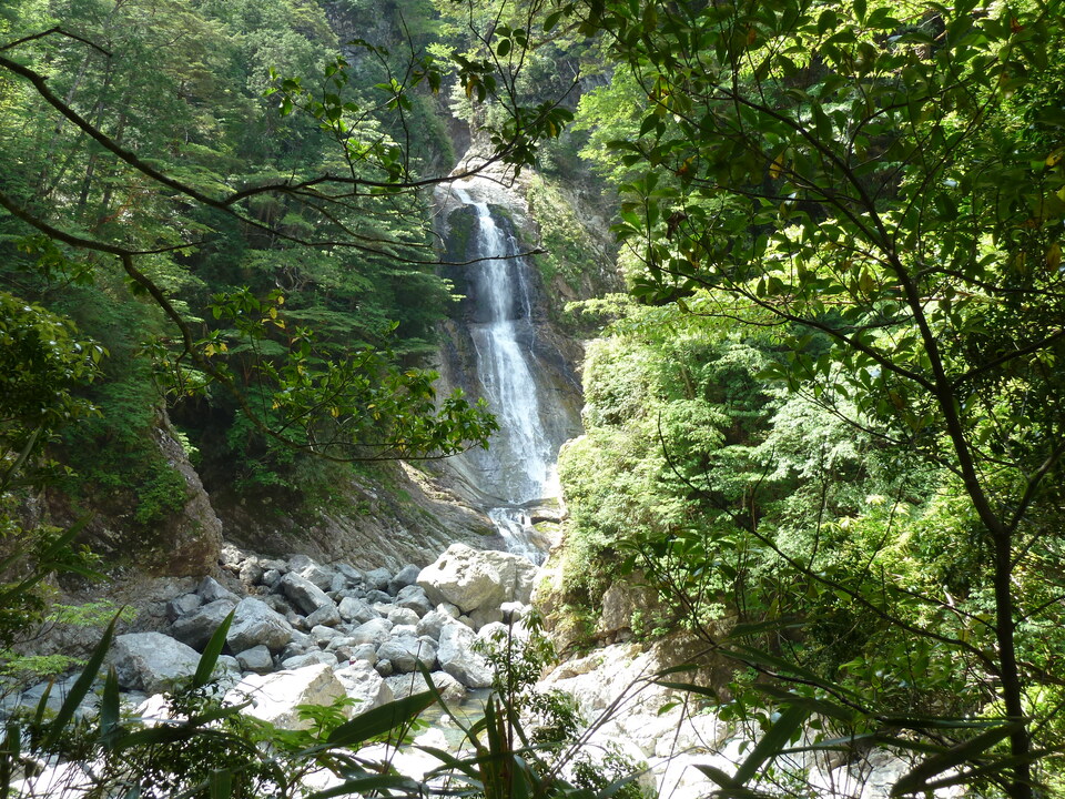 P1100813_mid.jpg